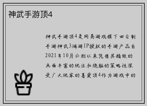 神武手游顶4